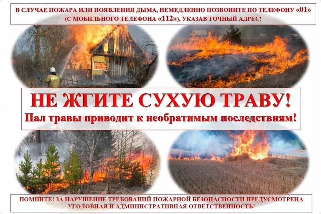 сухая трава