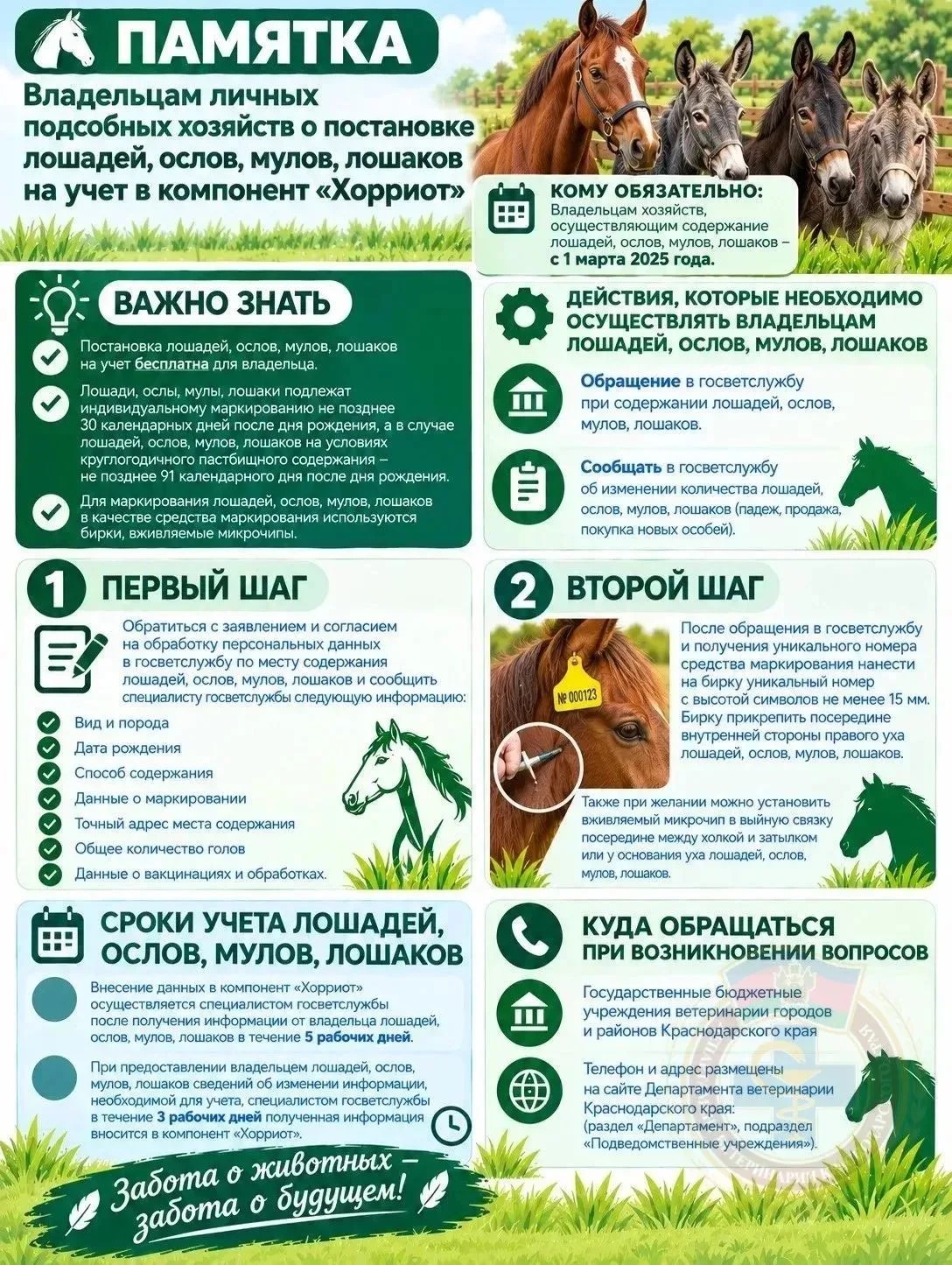 Памятка по регистрации в компоненте Хорриотпо!!!