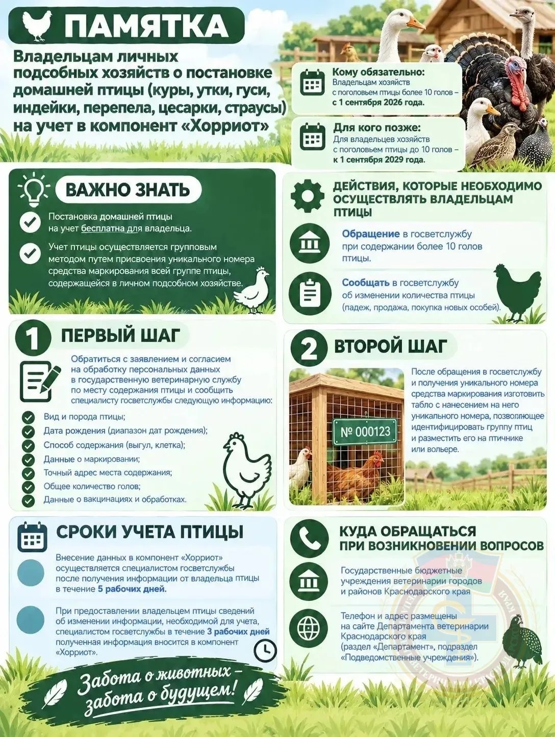 Памятка по регистрации в компоненте Хорриотпо!!!