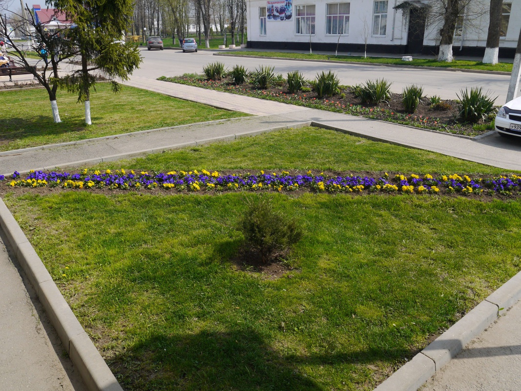 Всекубанский субботник...