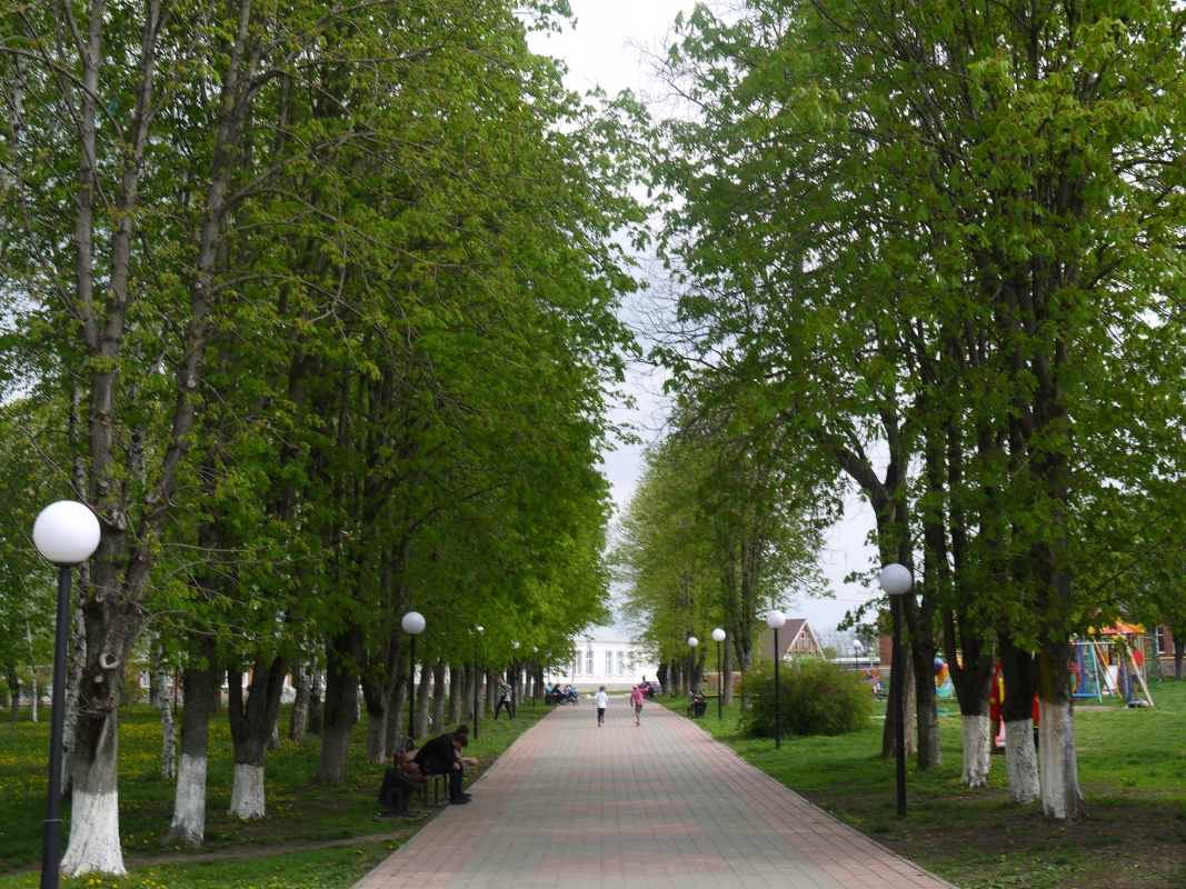 Вместе сделаем станицу краше...