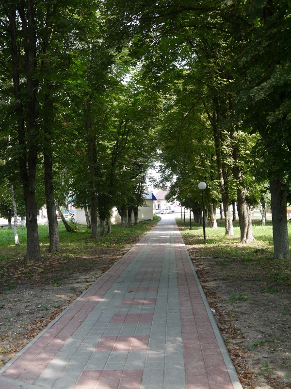 Обновлённая аллея в сквере…….