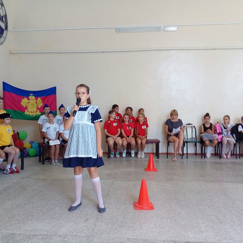 Познавательные программы