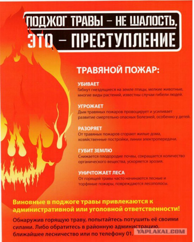Внимание... Введен особый противопожарный режим на территории Платнировского с/п Кореновского района!!!!