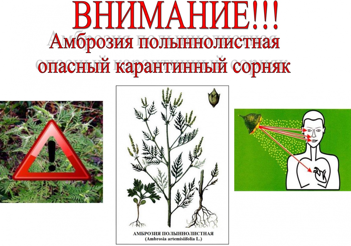 Внимание....