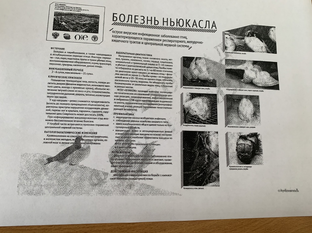 Внимание информация....