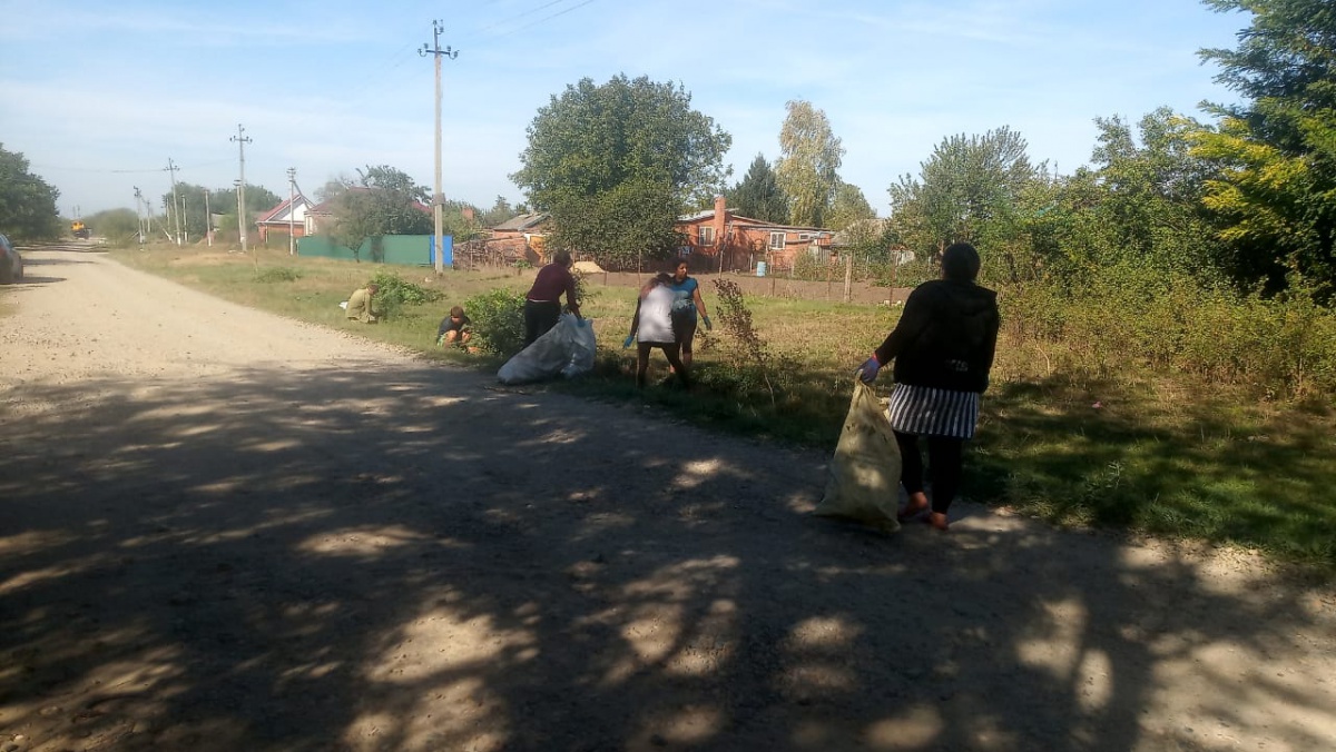 Провели субботник!!!