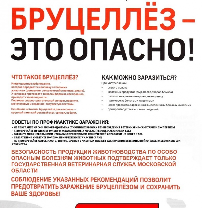 Бруцеллёз....