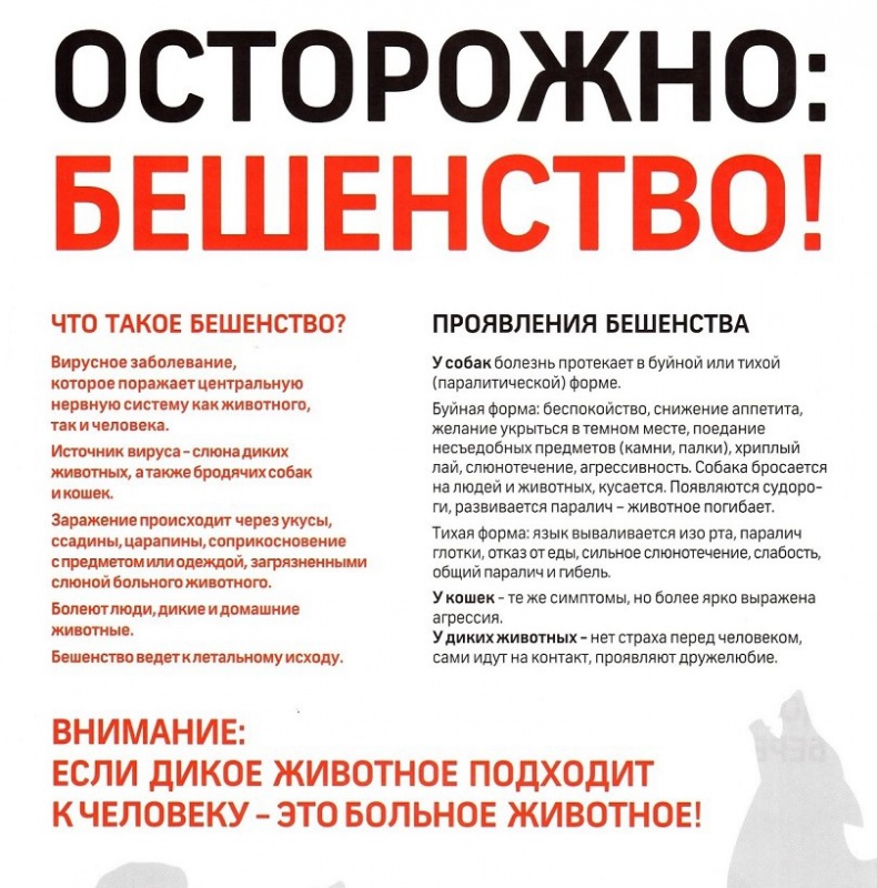 Осторожно бешенство...