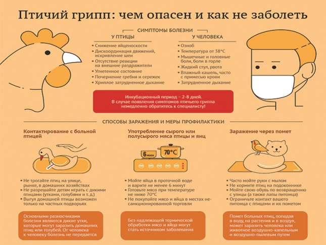 Птичий грипп, будьте внимательны....