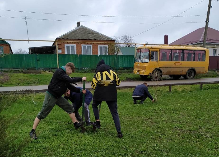Высадили деревья, навели порядок....