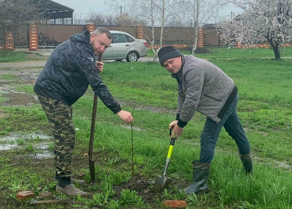 Высадили деревья, навели порядок....