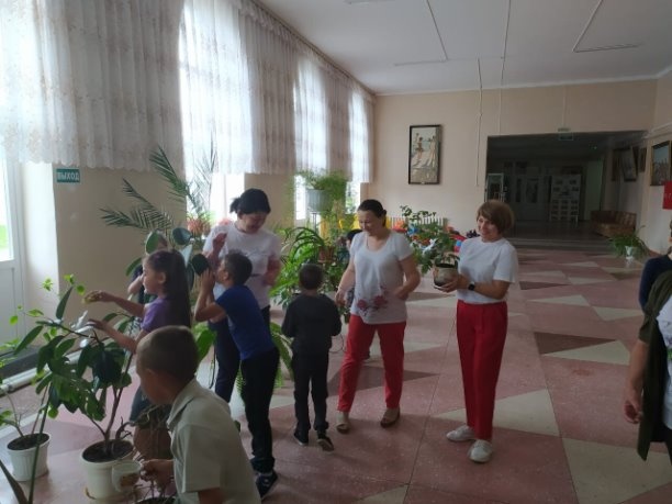 «Зеленый мир» прошел час информации о комнатных растениях «Живой уголок»