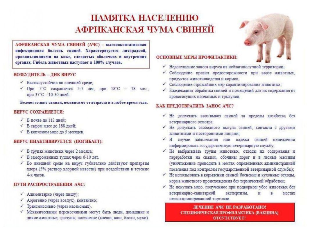 ВНИМАНИЕ АЧС!!!!!!!