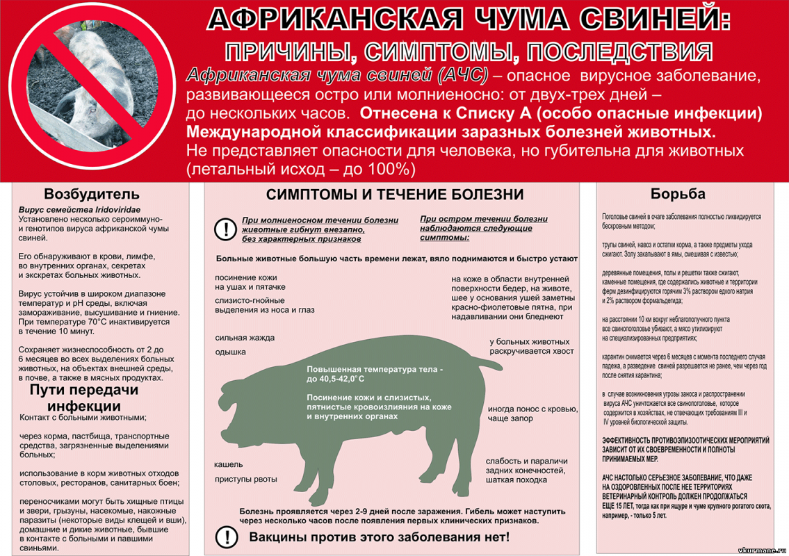 ВНИМАНИЕ АЧС!!!!!!!
