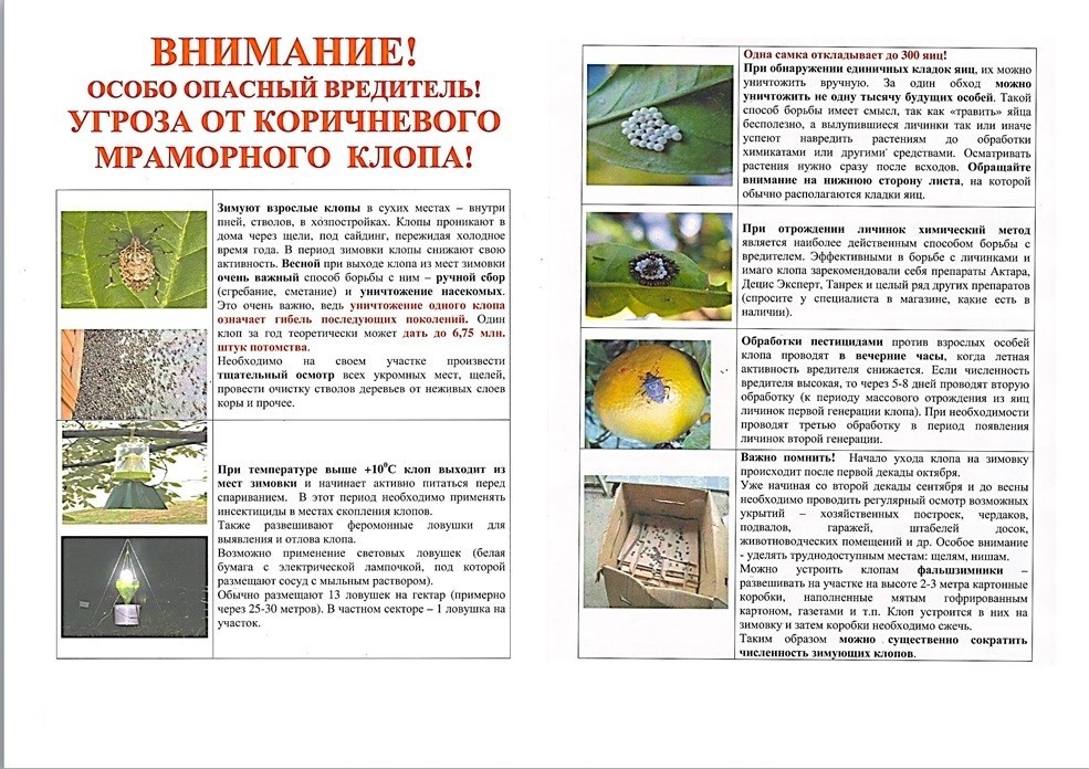 Внимание....