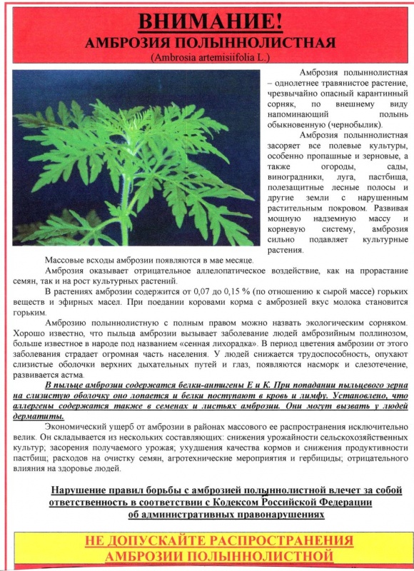 ВАЖНАЯ ИНФОРМАЦИЯ!