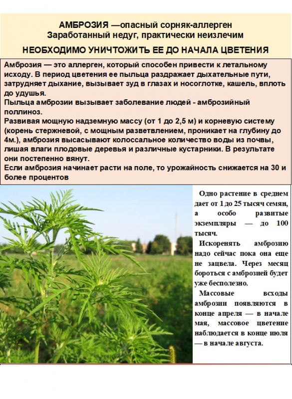 ВАЖНАЯ ИНФОРМАЦИЯ!