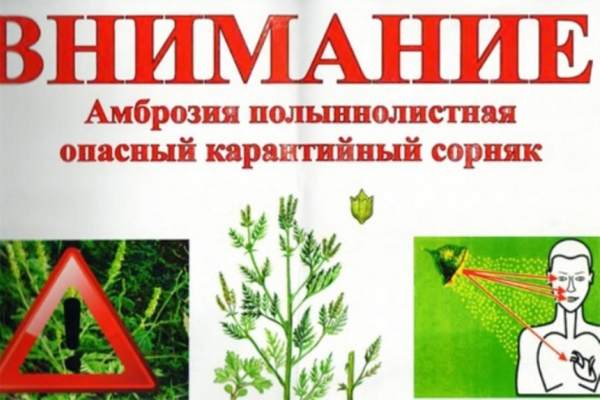 ВАЖНО!