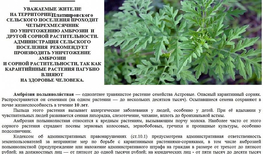 ОБРАТИТЕ ВНИМАНИЕ! ВАЖНАЯ ИНФОРМАЦИЯ!