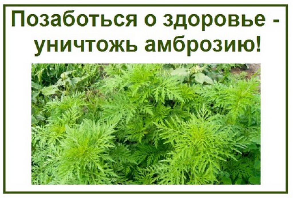 ВАЖНО!