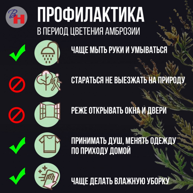 ПРОФИЛАКТИКА ПО АМБРОЗИИ